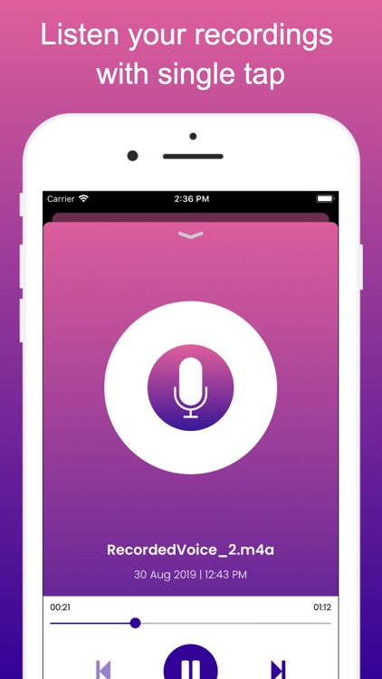 Voice Recorder PRO