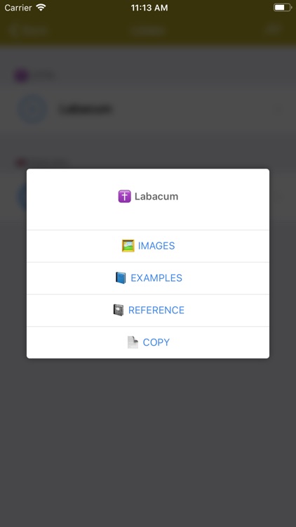 20 Latin Dictionaries screenshot-3