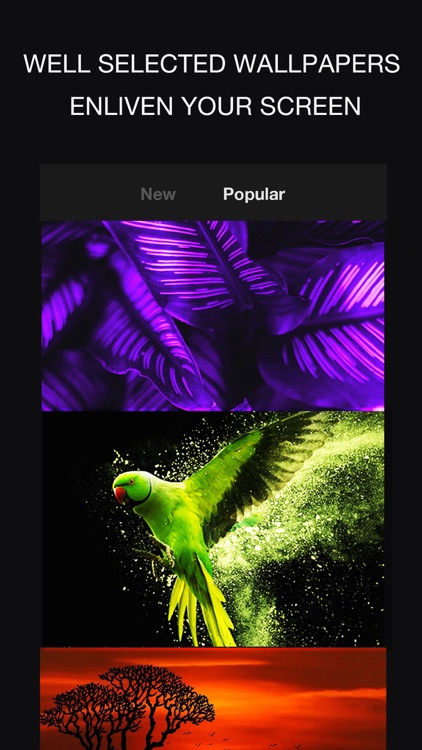 24KLiveWallpapers screenshot-7