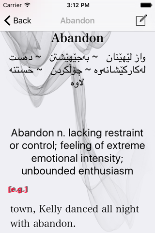 English Synonyms and Antonyms - náhled