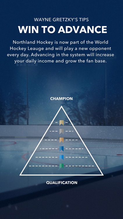 World Hockey Manager screenshot-6