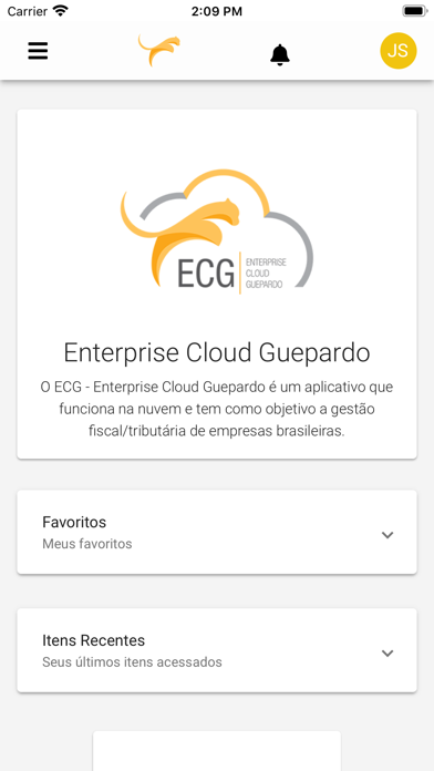 ECG–Enterprise Cloud Guepardo screenshot 2