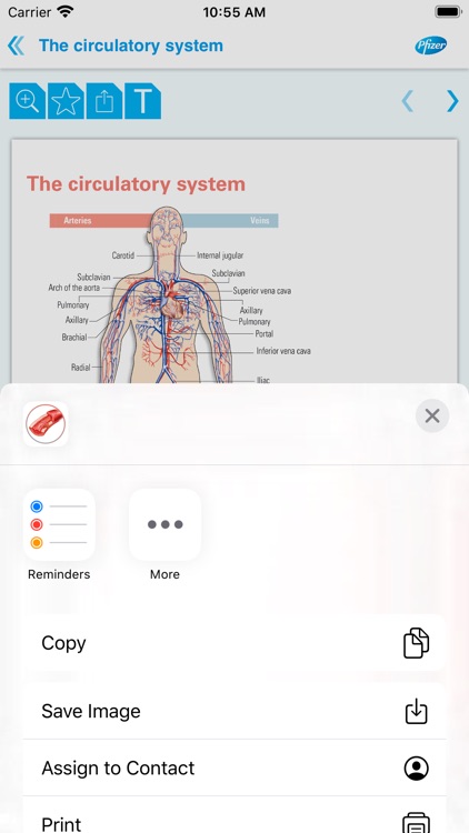 Hemophilia Mini Atlas App screenshot-3