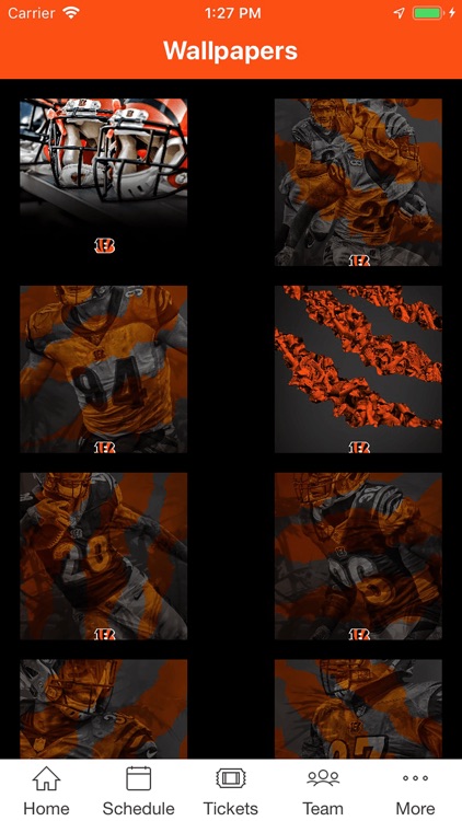 Cincinnati Bengals screenshot-3
