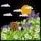 Are you like one of the millions of people struggling with Allergies
