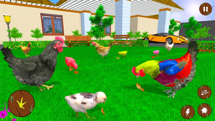 Hen Simulator Family Survival