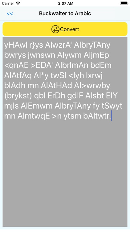 arabic converter screenshot-3