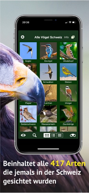 Alle Vögel Schweiz - Fotoguide(圖3)-速報App