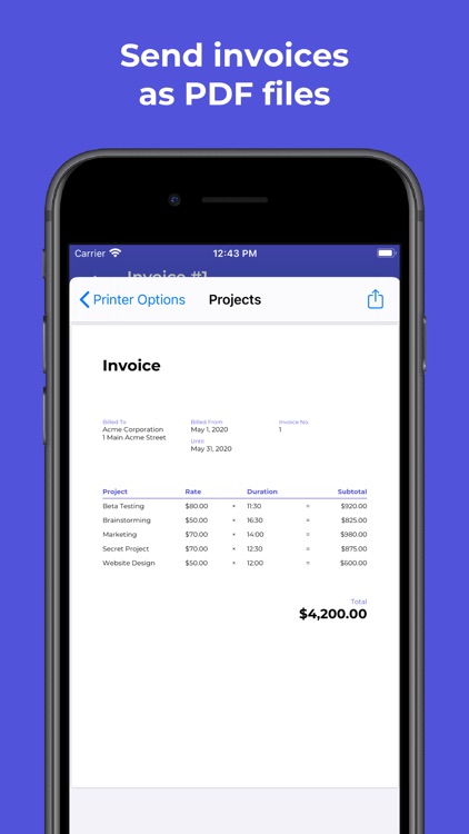 Projects: Timesheet & Invoices screenshot-3