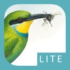 Sasol eBirds LITE