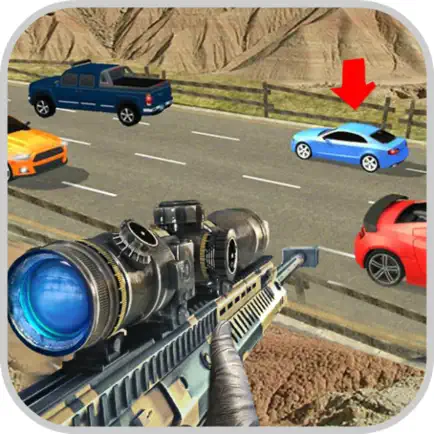 Sniper Assassin Highway Читы