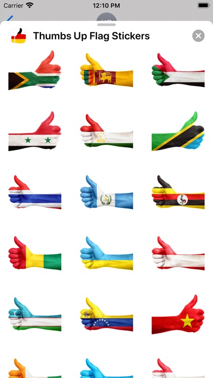 Thumbs Up Flag Stickers screenshot-5