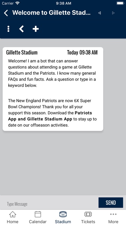 Gillette Stadium screenshot-4