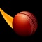 CricApp is a cricket trivia game for all the cricket lovers out there