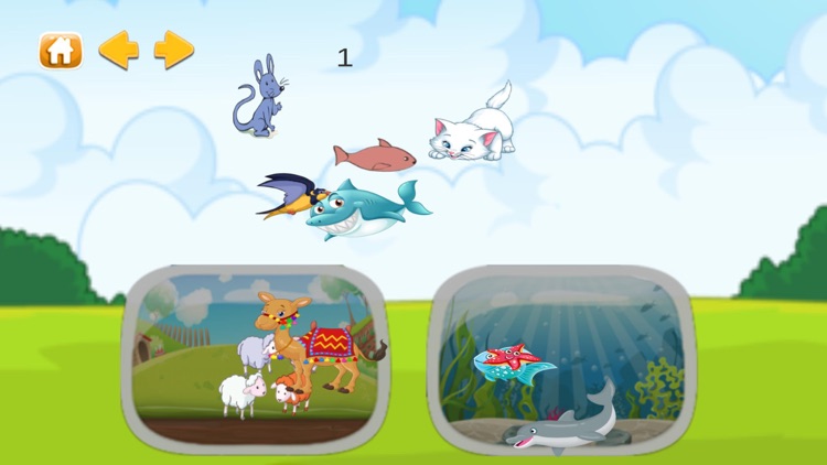 Animal World - enjoy learning screenshot-5