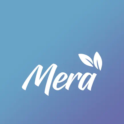 Mera Services Читы