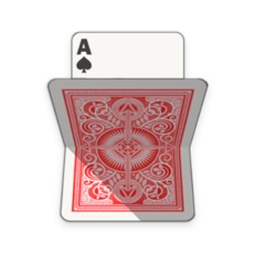 Activities of Salami Card Game