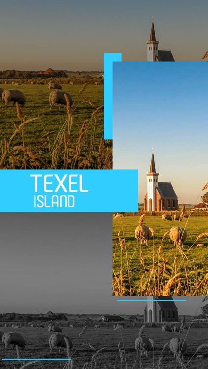 Texel Island Tourism Guide