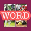 4 Pics 1 Word - Puzzle Game