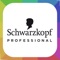 The House of Color by Schwarzkopf Professional was developed by colorists for colorists