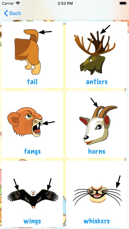 Animal body parts in English