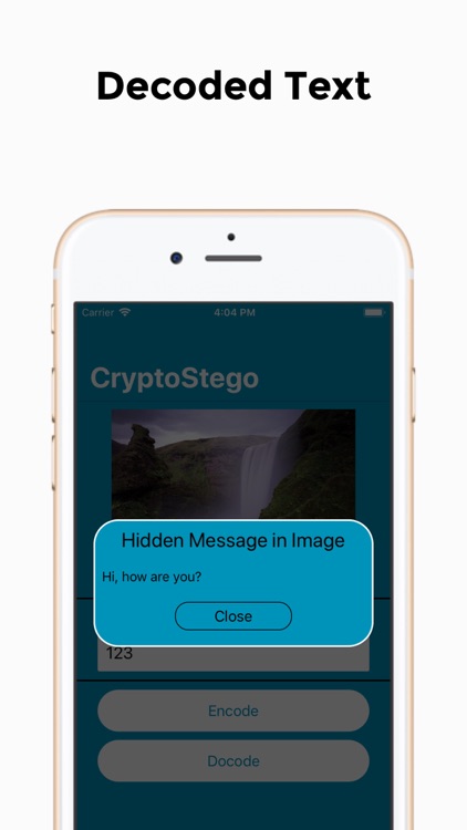 CryptoStego screenshot-5