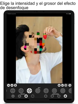 Captura de Pantalla 3 Desenfoque y mosaico iphone