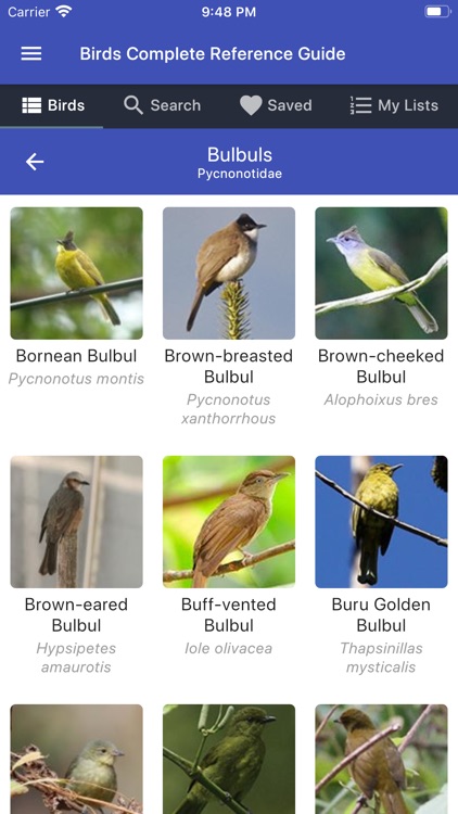 Birds Complete Reference Guide