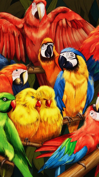 Parrots Card Game
