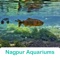 Nagpur Aquariums is the useful App to find the Aquariums in the Nagpur city of India