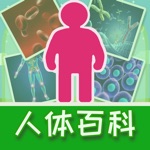 처음부터 중국어 작문 - 바디 소개