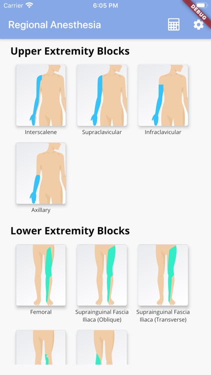 Regional Anesthesia Reference