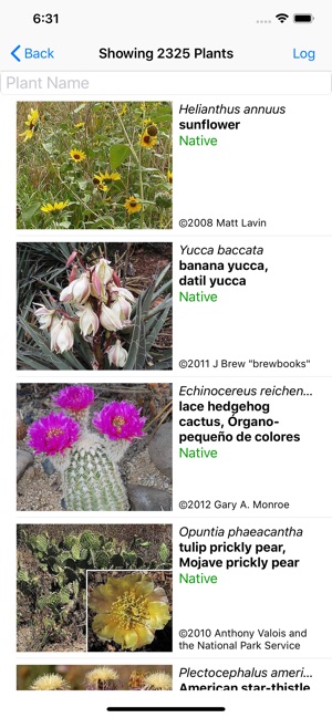 West Texas Wildflowers(圖2)-速報App