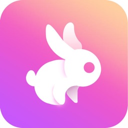 Tough Rabbit: Endless Parkour