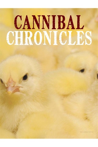 Chickens Magazine - náhled