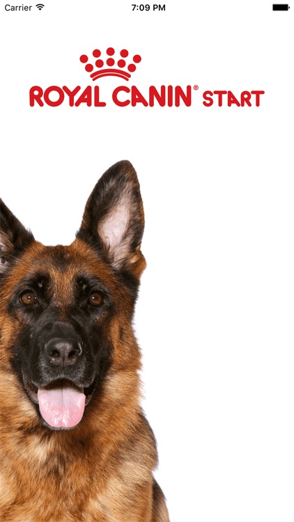 Royal Canin Start