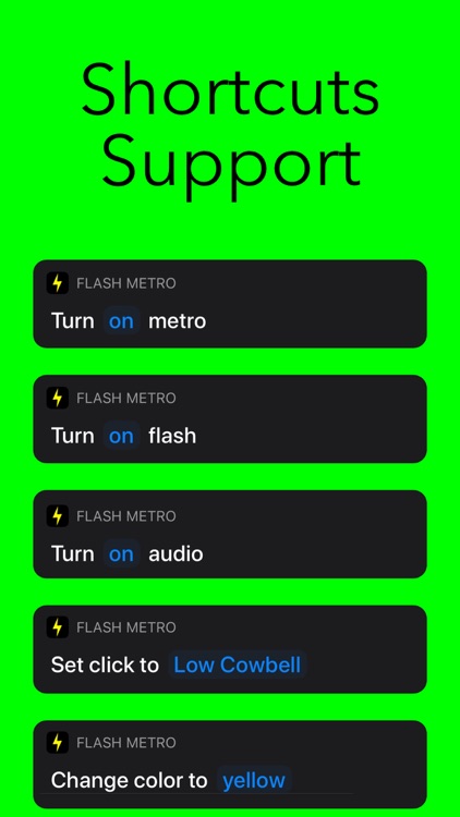 Flash Metro