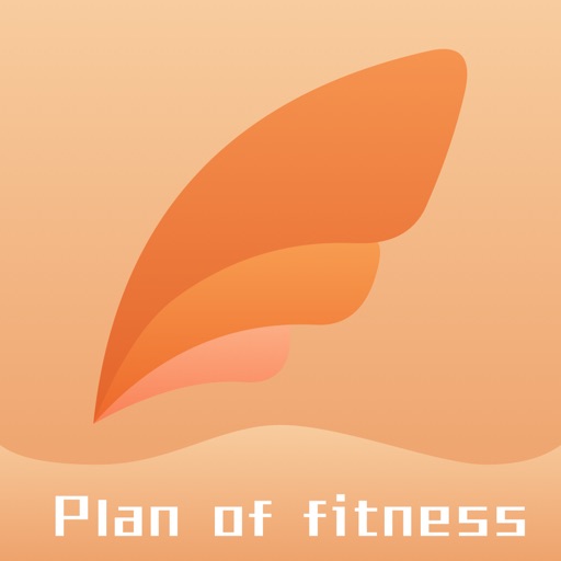 Plan of fitness