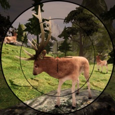 Activities of Deer Target Hunting