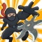 Master Ninja - Shuriken Puzzle