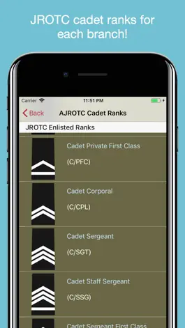 Game screenshot JROTC Guidon hack