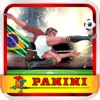 Panini Brasil FC