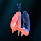 ‘Respiratory system’ app provides an in-depth and informative tour of the human respiratory system exploring all the amazing organs that keep our body’s breathing apparatus functioning at full swing