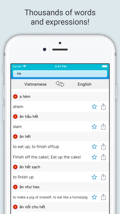 English Vietnam Dictionary +