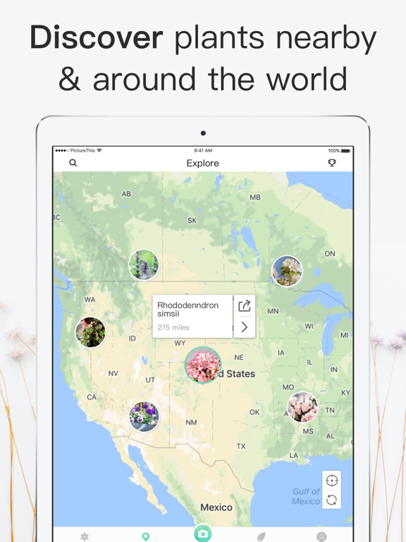 iPad Image of PictureThis - Plant Identifier
