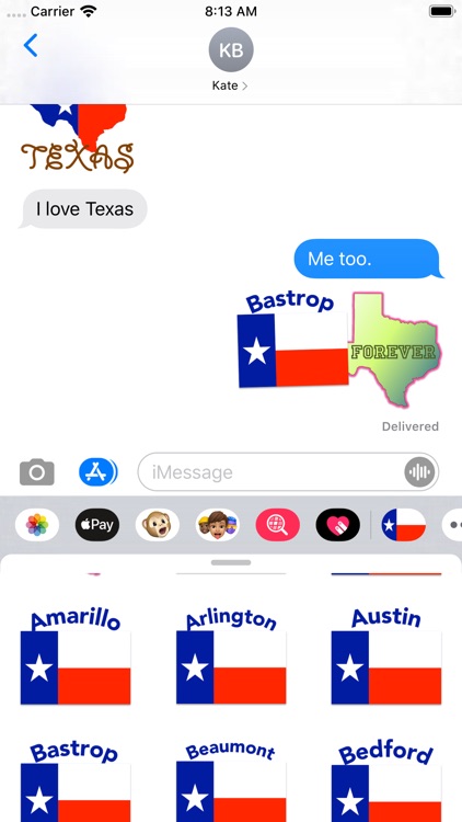 Texas Stickers