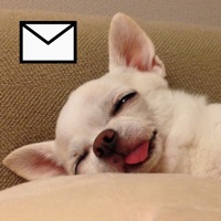 Email Creator pour PC