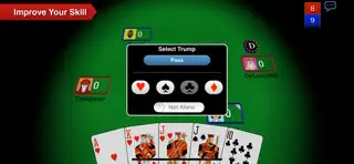 Euchre 3D Pro - Screenshot 3