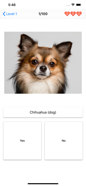 Dog Breeds Quiz - Dog Games(圖7)-速報App