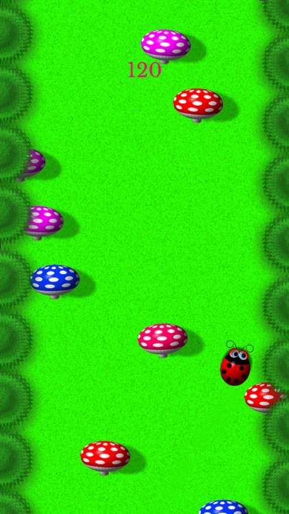 Tilt Tilt Ladybug screenshot-3